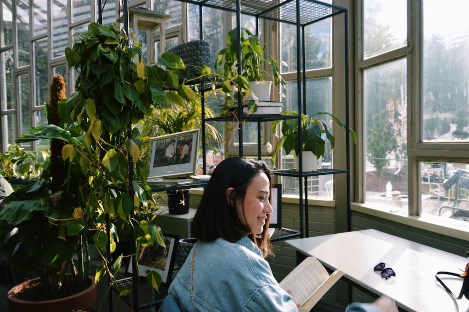 Keeping Your Conservatory Cool in Summer: Practical Tips That Work